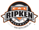 Cal Ripken 131x100